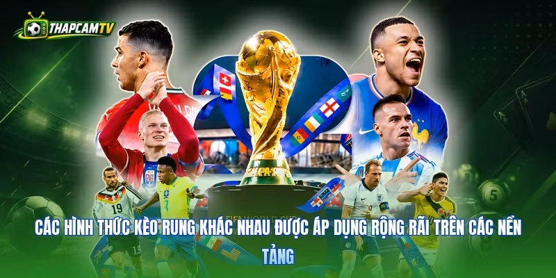 Các hình thức kèo rung khác nhau được áp dụng rộng rãi trên các nền tảng