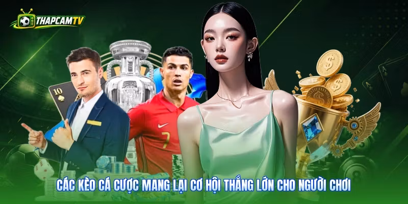 Các kèo cá cược mang lại cơ hội thắng lớn cho người chơi thành thạo