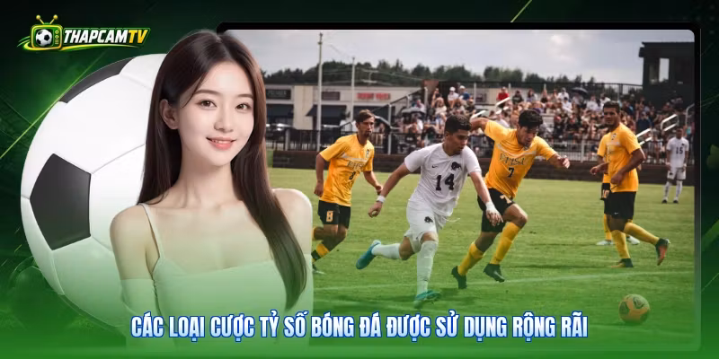 Các loại cược tỷ số bóng đá được sử dụng rộng rãi