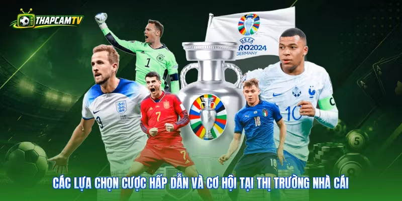 Các lựa chọn cược hấp dẫn và cơ hội tại thị trường nhà cái