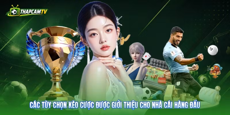 Các tùy chọn kèo cược được giới thiệu cho nhà cái hàng đầu