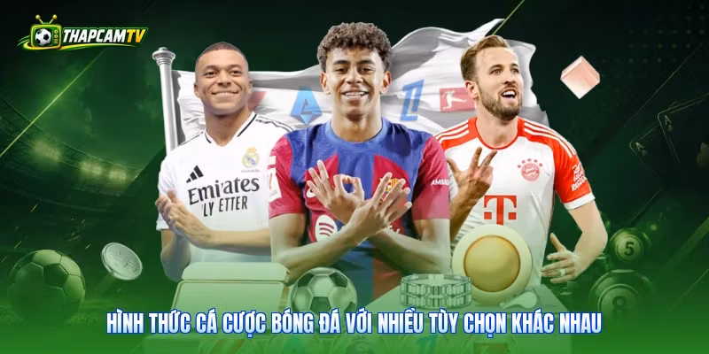 Hình thức cá cược bóng đá với nhiều tùy chọn khác nhau