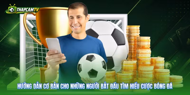 Hướng dẫn cơ bản cho những người bắt đầu tìm hiểu cược bóng đá