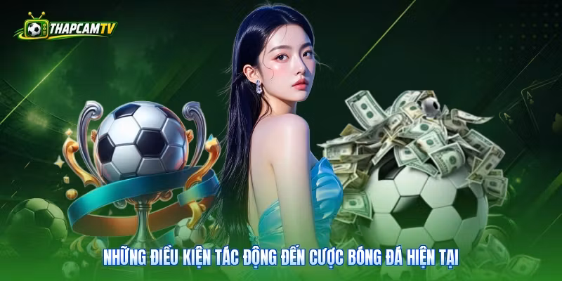 Những điều kiện tác động đến cược bóng đá hiện tại
