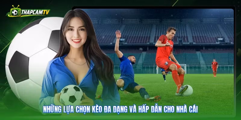 Những lựa chọn kèo đa dạng và hấp dẫn cho nhà cái