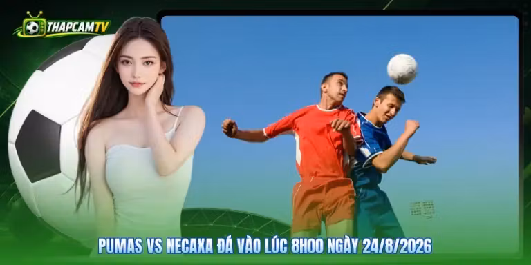 Pumas Vs Necaxa Đá Vào Lúc 8H00 Ngày 24/8/2026