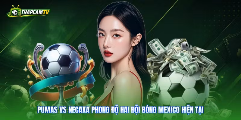 Pumas vs Necaxa phong độ hai đội bóng Mexico hiện tại